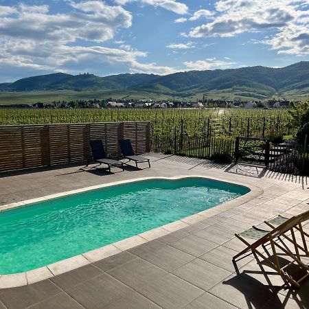 Gite Proche Colmar Vignoble Wettolsheim Eksteriør bilde