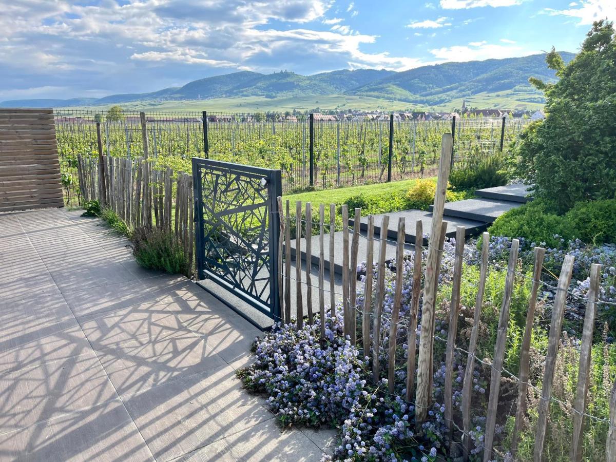 Gite Proche Colmar Vignoble Wettolsheim Eksteriør bilde